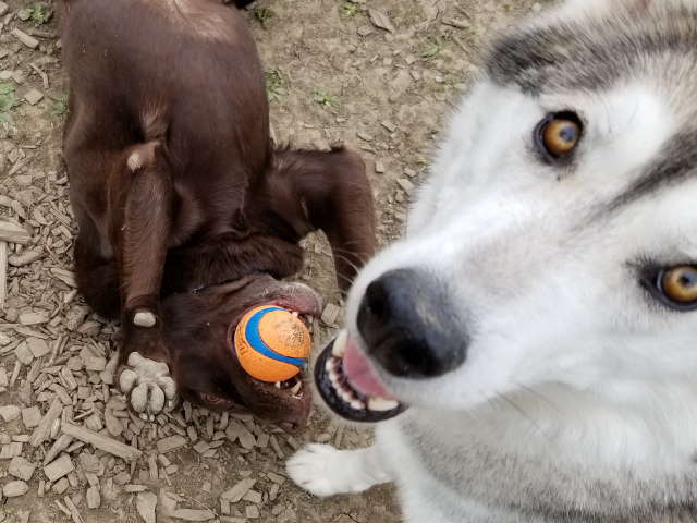 Nothing to see here, officer.
